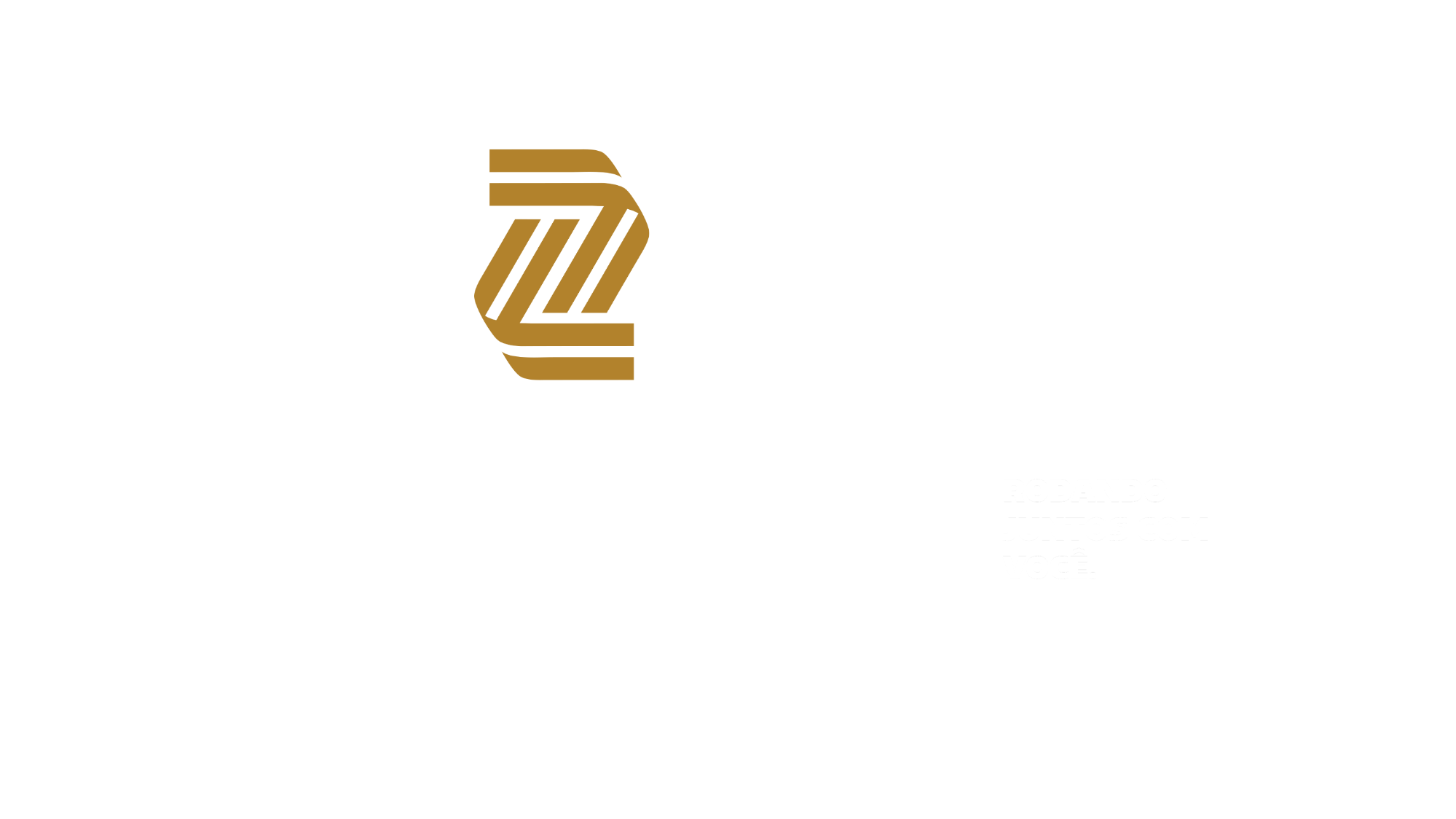 Zanella Pneus Logo Branco